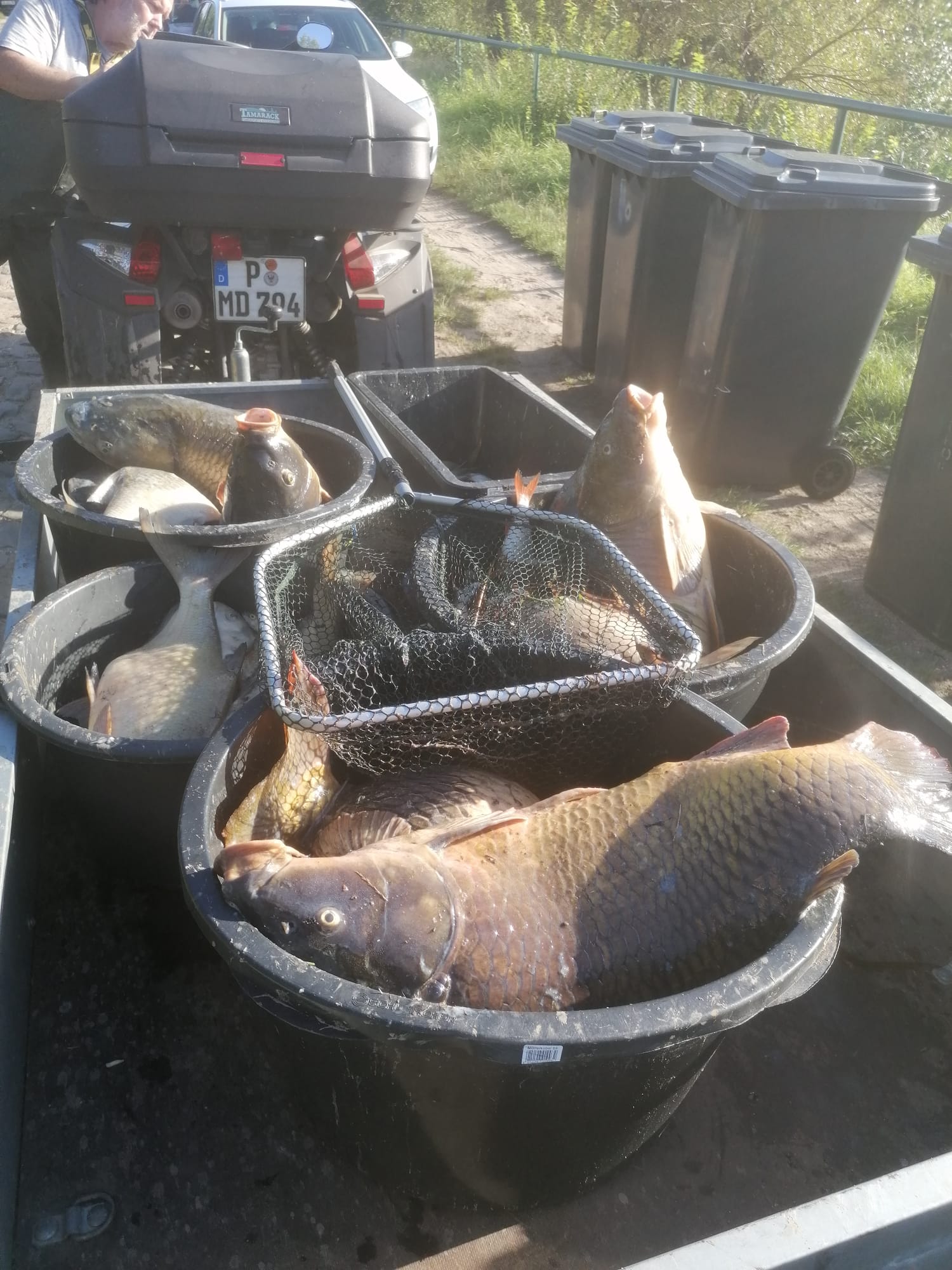 Sauerstoffmangel 2023